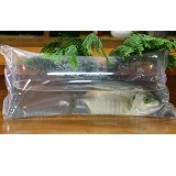 Fresh�@Fish�@�V�}��A�W