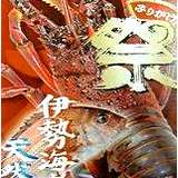 �Ղӂ肩���y�ō����ɐ��C�V�z