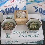 �J���V�E�������Ղ�I����߂�Z�b�g