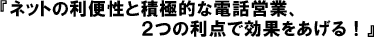 �l�b�g�̗��֐��ƐϋɓI�ȓd�b�c�ƁA�Q�̗��_�Ō��ʂ�������I