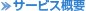 サービス概要