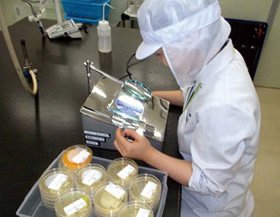 細菌検査数は外食企業の中で日本一