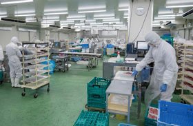 食品を扱う作業の様子
