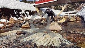 「杉原紙」の原料であるコウゾをさらす、川さらしの様子