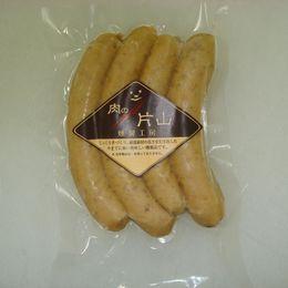 EBi[((e100g^))