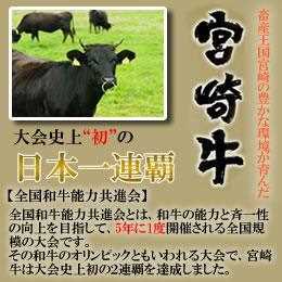 宮崎県産・黒毛和牛【宮崎牛A-4】肩ロースブロック | BtoB eSmart