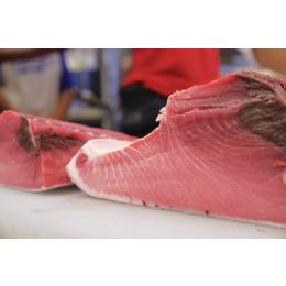 XYVR{}O((VgʁE1^kg))