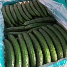 �L���E��