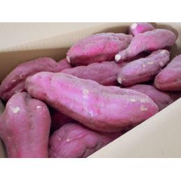 ���m�����ˎs���R��n�Y�@�������i���R�����j�s�����i