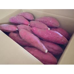 ���m�����ˎs���R��n�Y�@�������i���R�����j�s�����i((5�E0�^kg))