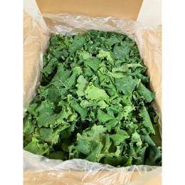 J[[P[@y޹فz((4^kg))