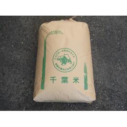 令和4年産　　千葉県産コシヒカリ　玄米30ｋｇ