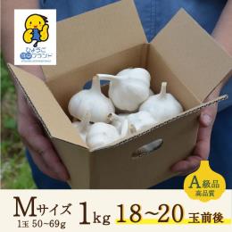 にんにく【兵庫産】Mサイズ