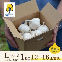 にんにく【兵庫産】　Lサイズ
