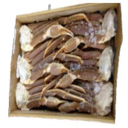 生ズワイセクション（オピリオ）レオパルド　サイズ３L