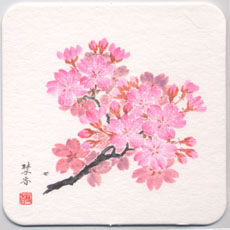 輝コースター  桜