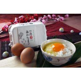 【小売用】　極旨 竹鶏あかたまご（赤玉）　6個入P／Mサイズ