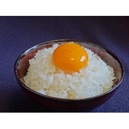 ２６年産　新米　千葉県産ふさこがね　検査１等　玄米　1ｋｇ175円