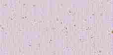 箸置きマット　NO４３０３　天の川（紫）