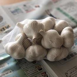青森県産皮付きニンニク　Ａ品Ｍサイズ