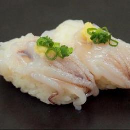 寿司ネタ　ヤリイカ下足5～6ｇx20枚　ヤリイカゲソ
