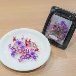 �|�b�v�X�^�[