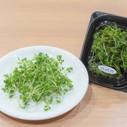 �}�C�N���R�V���E�\�E