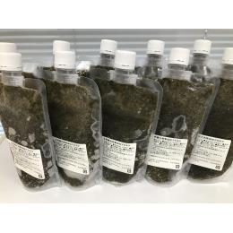 アカモク　おまとめセット①　（ 300g×10本）