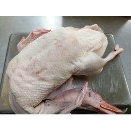 �u�}���@�ۃg��(1�^kg)