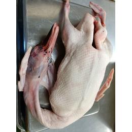 �u�}���@������(1�^kg)