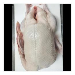 �����݊��@������(1�^kg)