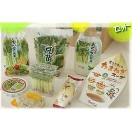 サラダコスモの新顔野菜＆ちこり村のたまねぎスープ