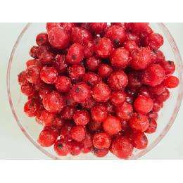 �yKIMONO FRUITS�z�Ⓚ���b�h�J�����g�i�Z���r�A�Y�j1�����@�Ⓚ�O���[�C��(1�^kg)