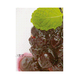 �a�̎R�Y�@�u���[�x���[�W����((1�E0�^kg))