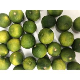 ������ �����Y �|�k B�i�i�󂠂�j 1kg/�܁@M�`3L�T�C�Y((1�^kg))