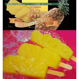 �yKIMONO FRUITS�z�ʕ�������̃p�C���X�e�B�b�N�Ⓚ�j110�{����/��