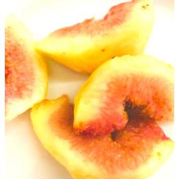 �yKIMONO FRUITS�z���Y�Ⓚ���������i��ނ��j�@1kg�@���Y ���n��������((1�^kg))