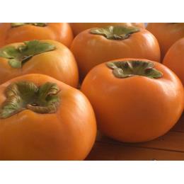 �yKIMONO FRUITS�z�Ⓚ�` �H���`�i��Ȃ��j1000���i�����Y�j((1�^kg))