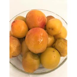 �yKIMONO FRUITS�z�Ⓚ�썂�~�܂��́A�Ï�~�i�a�̎R�Y�j1����