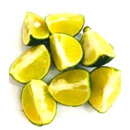 �yKIMONO FRUITS�z�Ⓚ�������i�����Y�j �P/�S�J�b�g ���؂� 16��