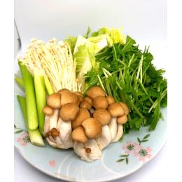 �uKIMONO VEGETABLE�v�Ⓚ��؃~�b�N�X���Y�i����p�j�i200���~10�j((10�^��))