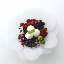 フレッシュミルクのアイスクリーム◆アイス無料サンプルご提供いたします