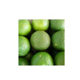 すだちシャーベット◆旬感覚アイス無料サンプルご提供いたします