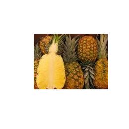 冷凍　ゴールデンパイン（国内加工）