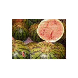 �Ⓚ���Y�������i�킠��j((1�^kg))