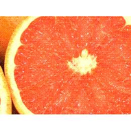 �Ⓚ�O���[�v�t���[�c�i���r�[�j�@�������H((1�^kg))