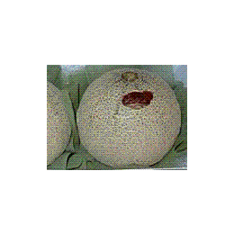 冷凍国産メロン