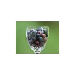 �Ⓚ�X���[�x���[((1�^kg))