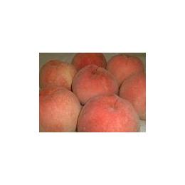 �Ⓚ�@���Y��((1�^kg))