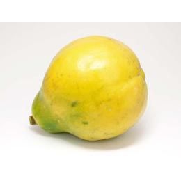 冷凍パパイヤ（タイ王国産）